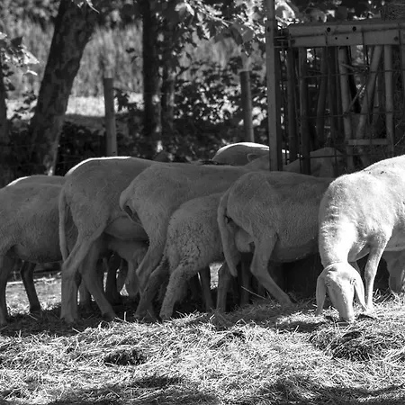Séjour à la ferme Relais Agrituristico Ormesani *