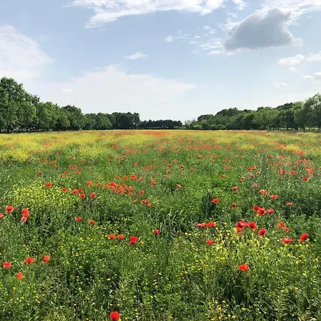 Relais Agrituristico Ormesani مزرعة للإقامة